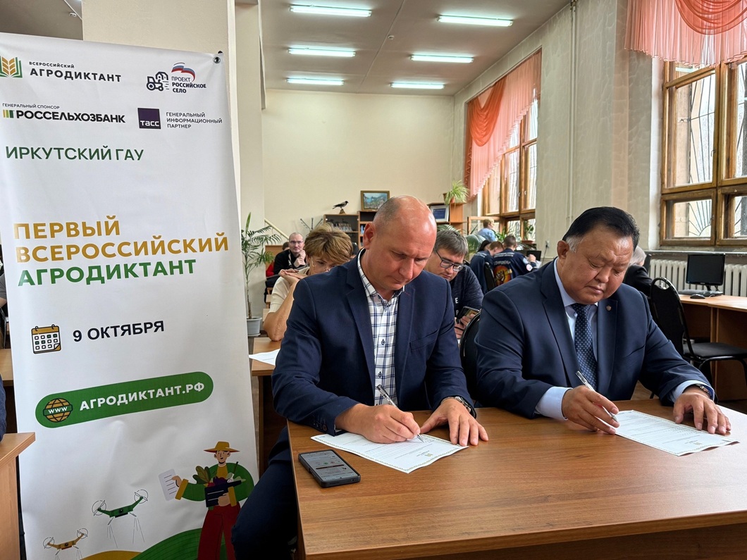 диктант