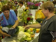 Иркутский фестиваль садоводов и огородников расширяется