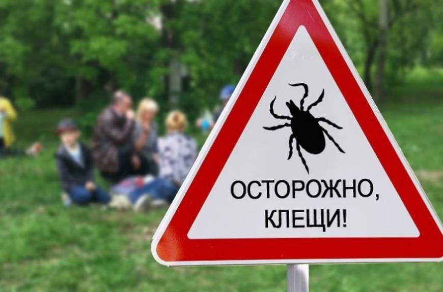 клещ