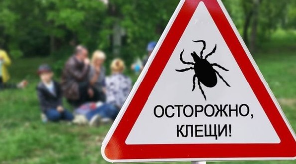 клещ