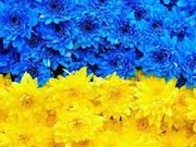 Украинский культурный центр «Днипро» приглашает к сотрудничеству