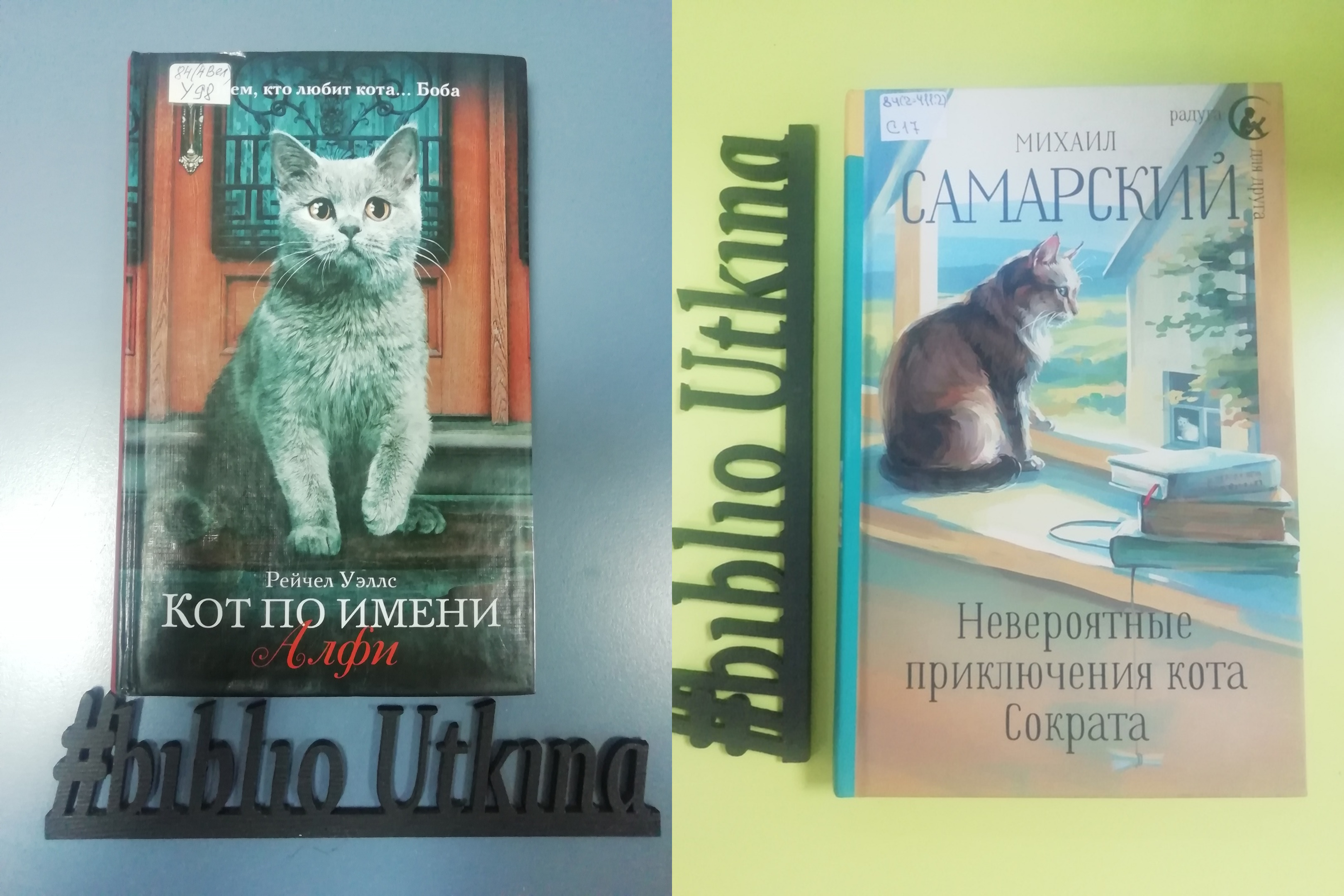 Книги и кошки