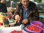 Фестиваль "Дары тайги" состоялся в селе Раздолье