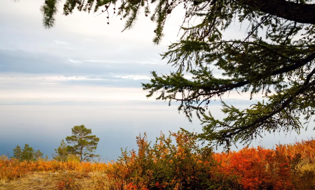 Байкал вошел в топ-5 мест в России, где стоит встретить золотую осень