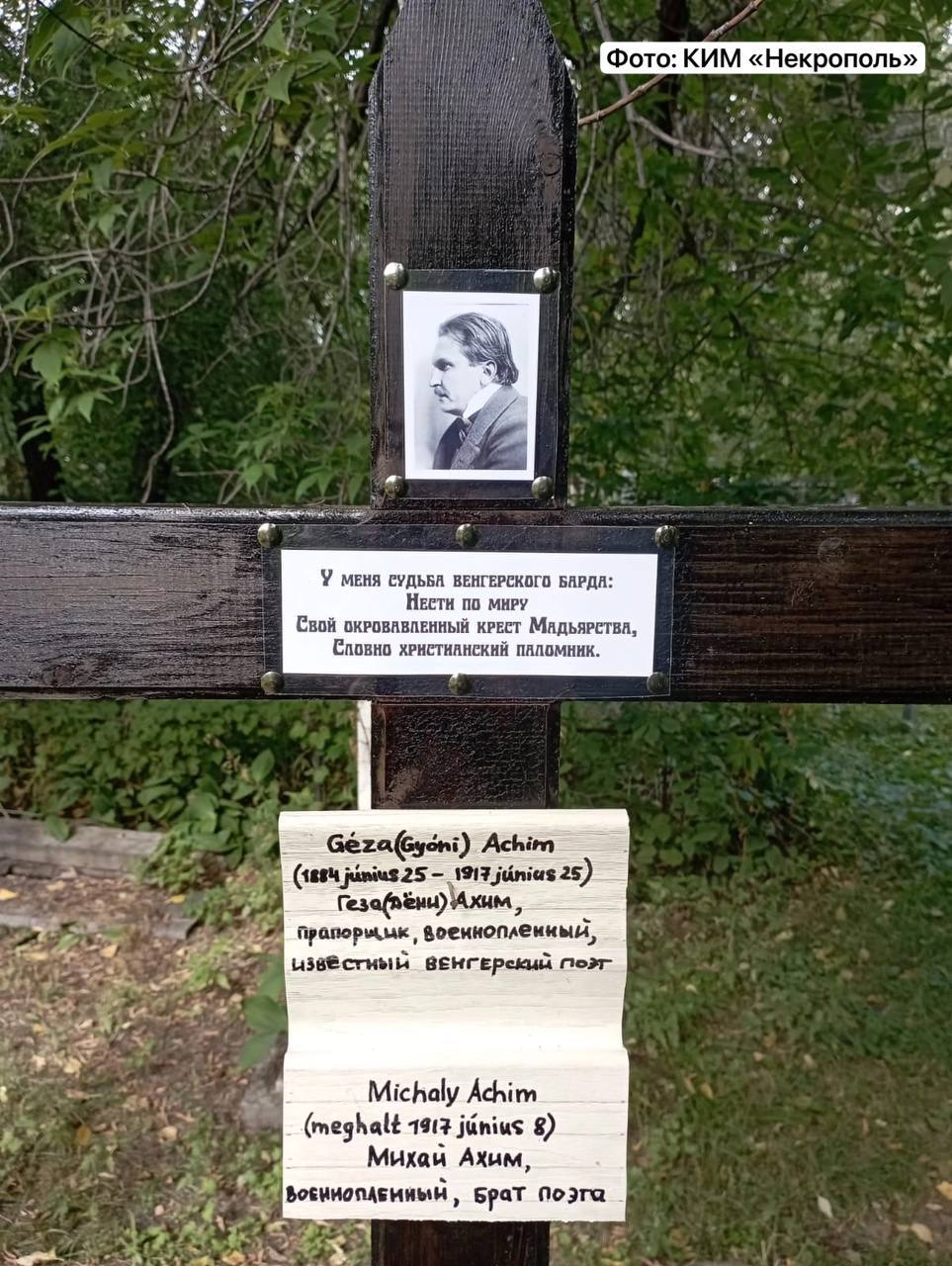 дени геза