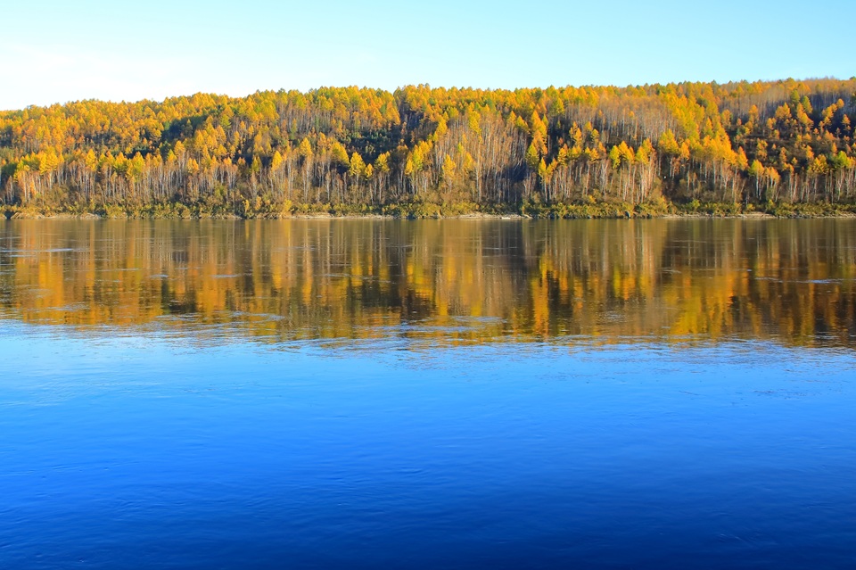 форбс