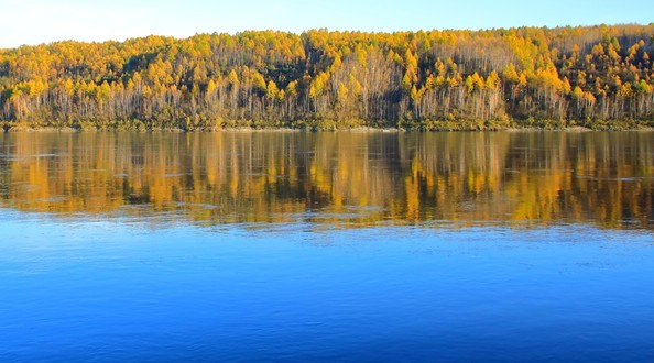 форбс