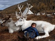 Как живут оленеводы-кочевники в Монголии
