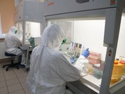 Иркутская область ежедневно бьет рекорды по заболеваемости коронавирусом