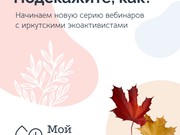 «Подскажите, как»: новая серия вебинаров от иркутских экоактивистов