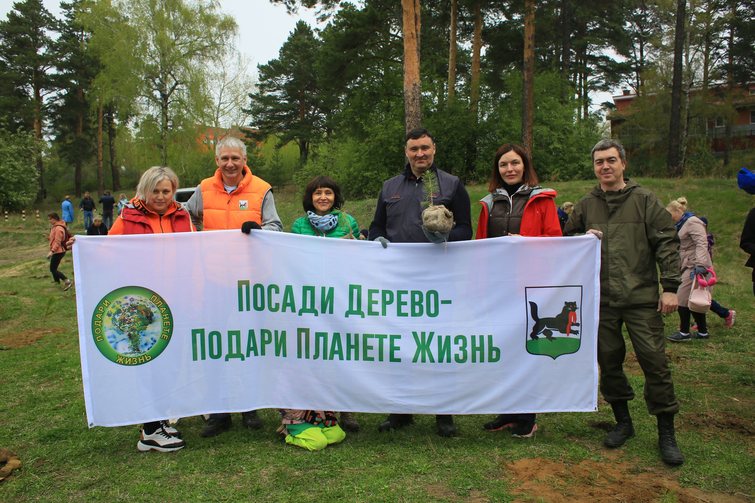Более трех тысяч деревьев высадили в Иркутске 27 мая 