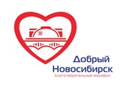 Иркутские общественники приняли эстафету фестиваля «Добрый Новосибирск»