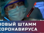 40-летний иркутянин привез из Занзибара новый тип коронавируса