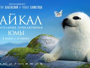 Фильм «Байкал. Удивительные приключения Юмы» стал самым популярным неигровым фильмом в истории России