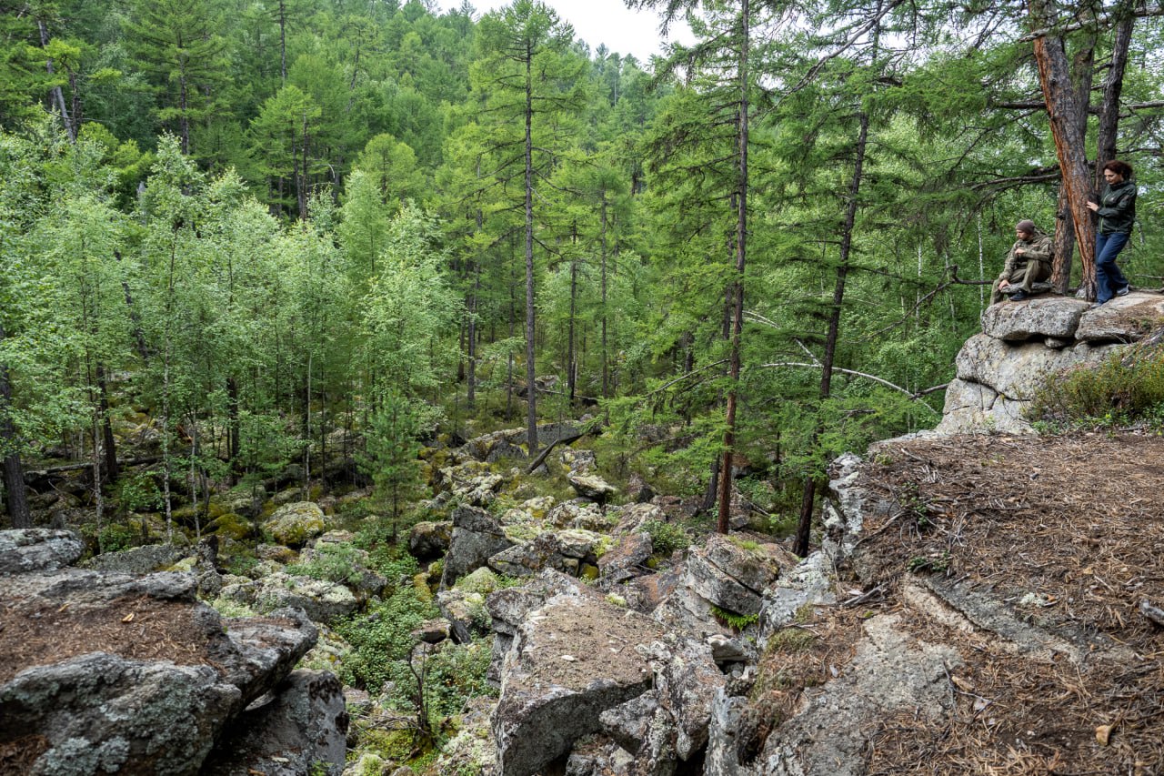 Сосновка Забайкальский край