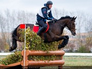 Спортсмен Пивоваровского конно-спортивного комплекса стал чемпионом Сибири по троеборью