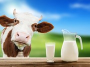 Иркутян предупредят о мошенниках с помощью молочных продуктов
