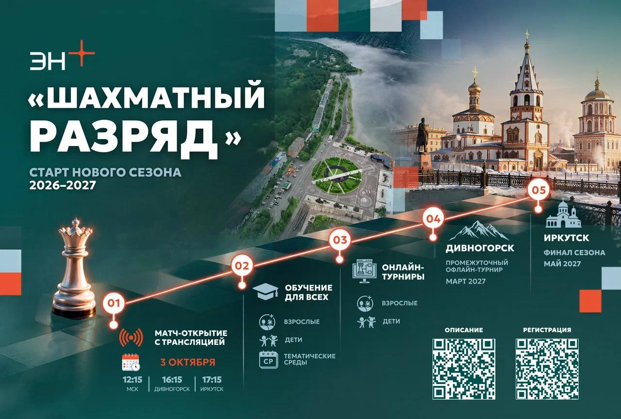 шахматы