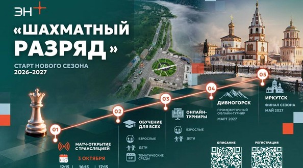 шахматы