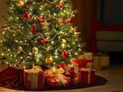 Экологические опросы про новогоднюю елку