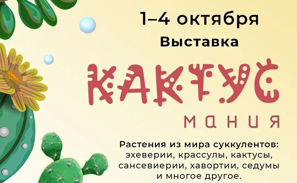 кактусы