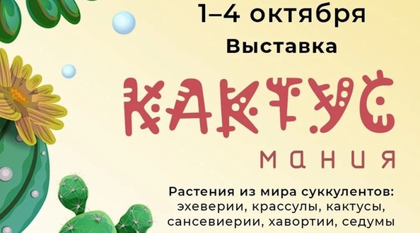 кактусы