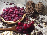 В Тулуне открылся цех по производству варенья, джема и ягод