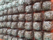 Флаксы и конфеты на основе пророщенных семян льна изготовили иркутские учёные