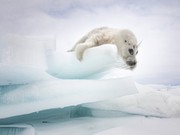 Снимки Байкала попали в журнал National Geographic