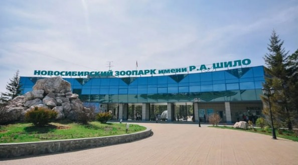 зоо
