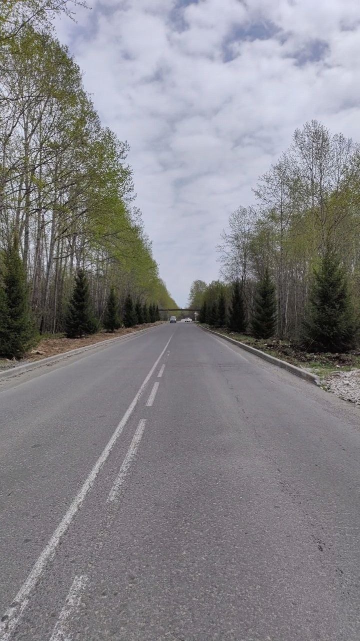Байкальск озеленение
