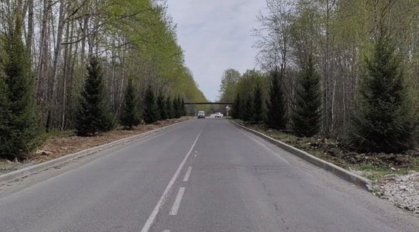 Байкальск озеленение