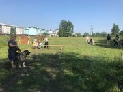 Первая площадка для выгула собак в Черемхово как успех общественности
