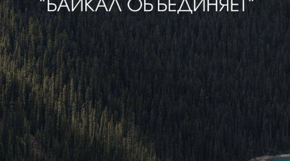 фест