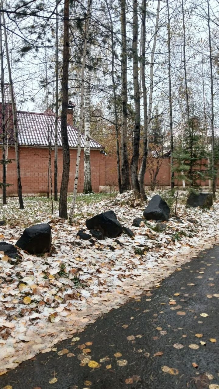 снег