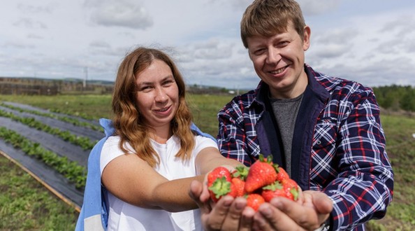 рсхб
