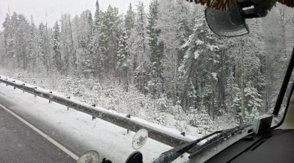 снег