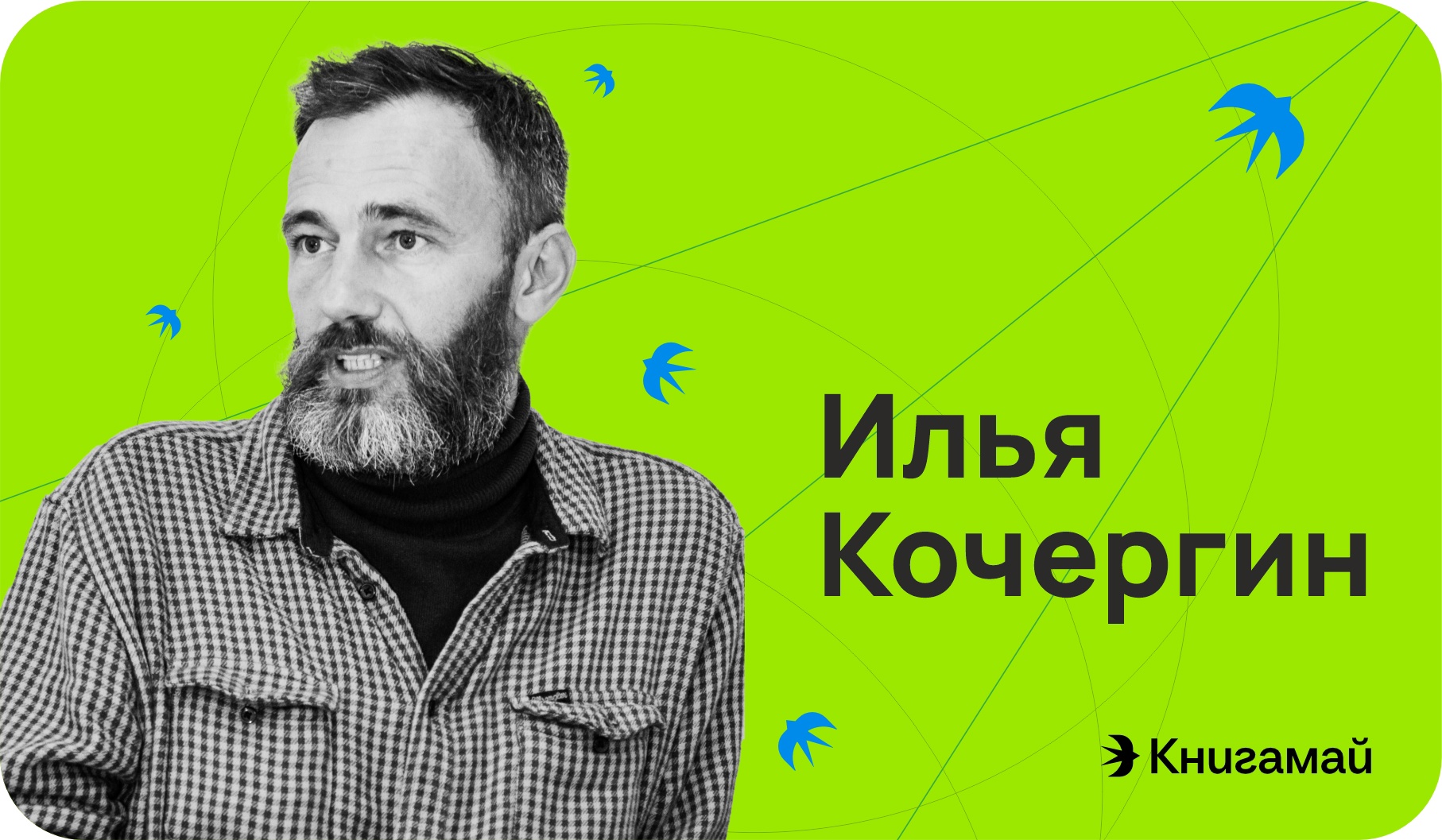 фест