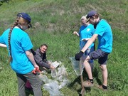 Иркутские волонтеры высадили краснокнижные цветы на Байкале