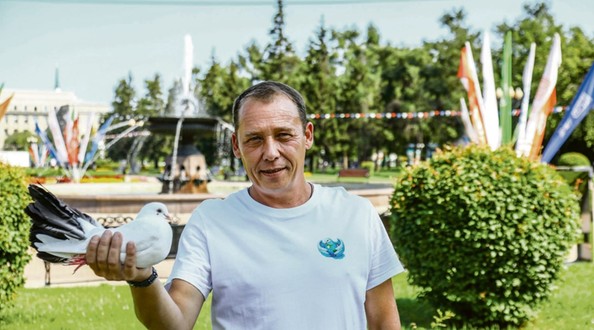 голуби