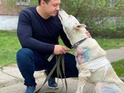 Спасатель бездомных животных в Ангарске зарегистрировал благотворительный фонд