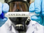 Исследование на наличие коронавируса теперь можно сделать в Братске