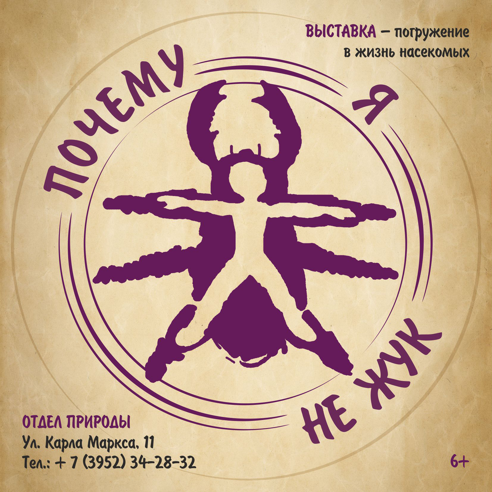 жуки