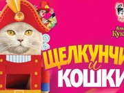 Московский театр кошек Владимира Куклачева выступит в Иркутске