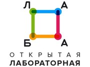 "Лаба" в Иркутске: пресс-конференция 31 января