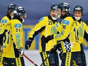 Сборная Казахстана по бенди отказалась от поездки на чемпионат мира в Иркутск