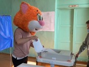 Зебры, коты и тюлени проголосовали в Иркутской области