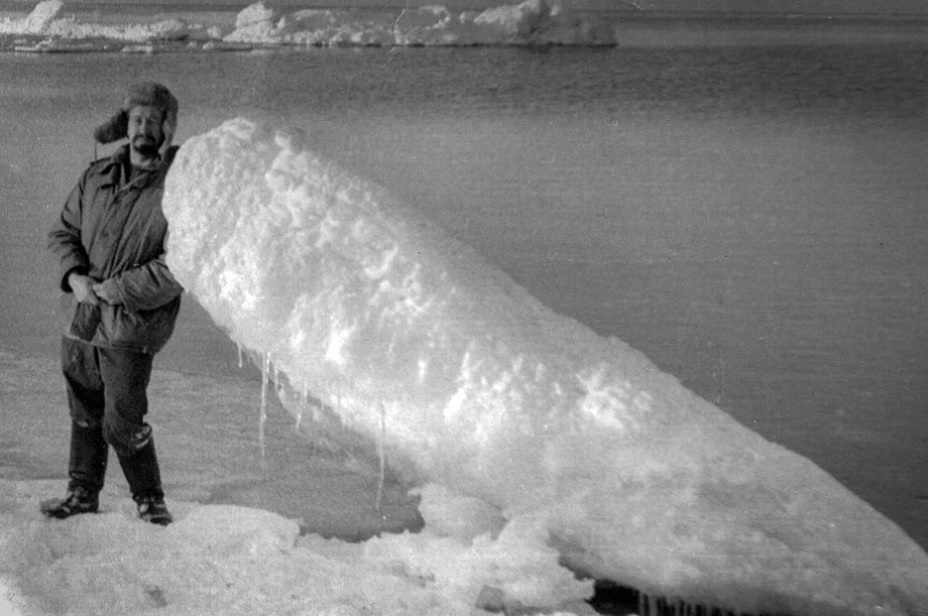 Один среди белых медведей: приключения учителя в Арктике