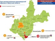 В Иркутской области на вечер понедельника 13 случаев коронавируса