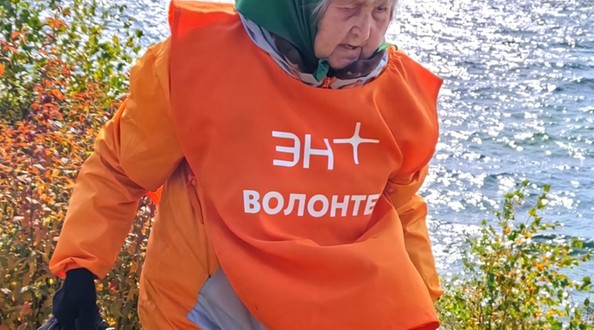 феня